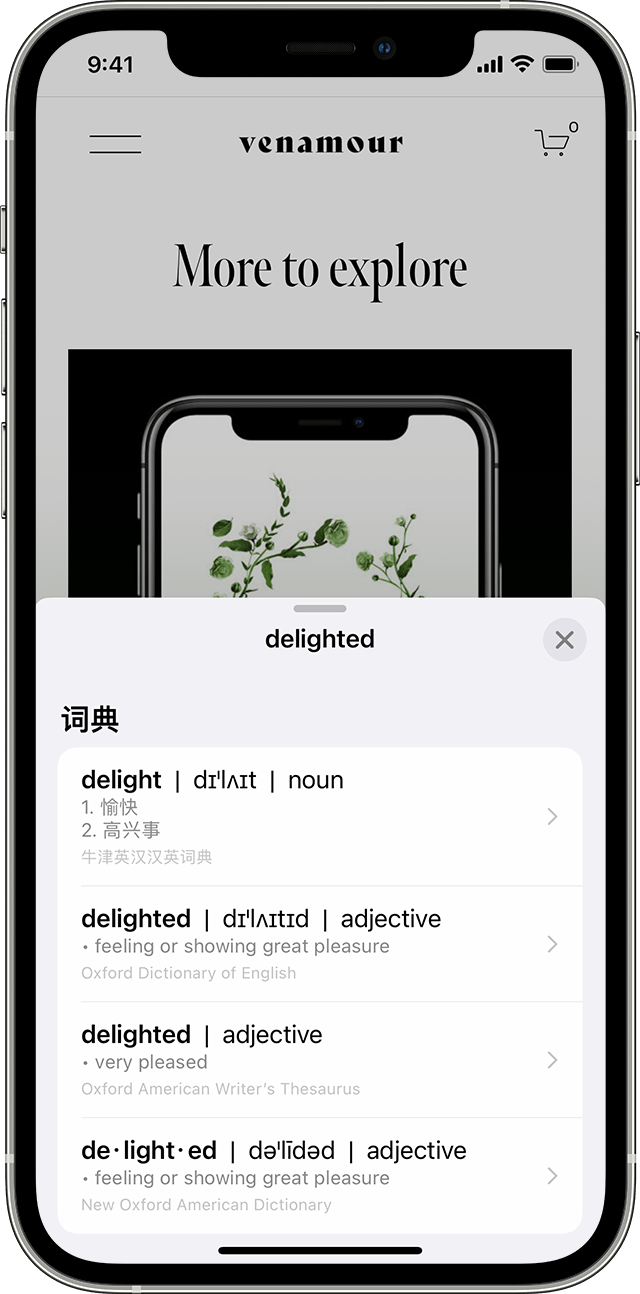 chtax翻译工具支持哪些常见文件格式,以满足跨境电商业务需求?
