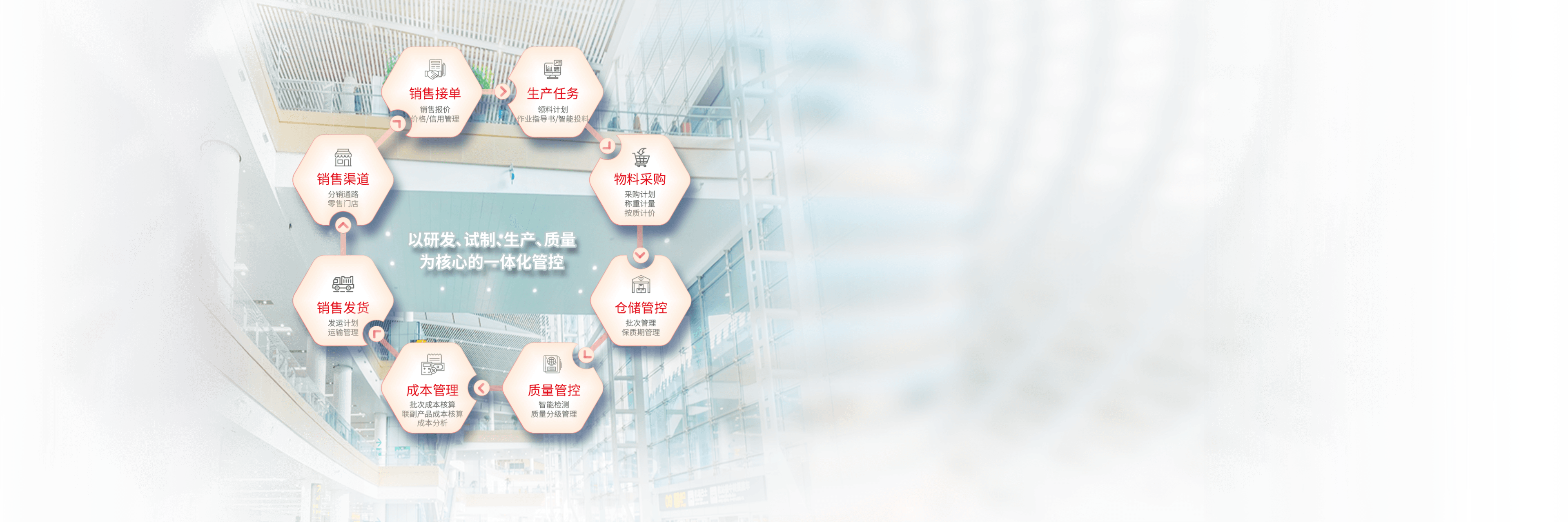 出海新手如何构建高效的出海工具箱，以应对跨境电商的复杂挑战？